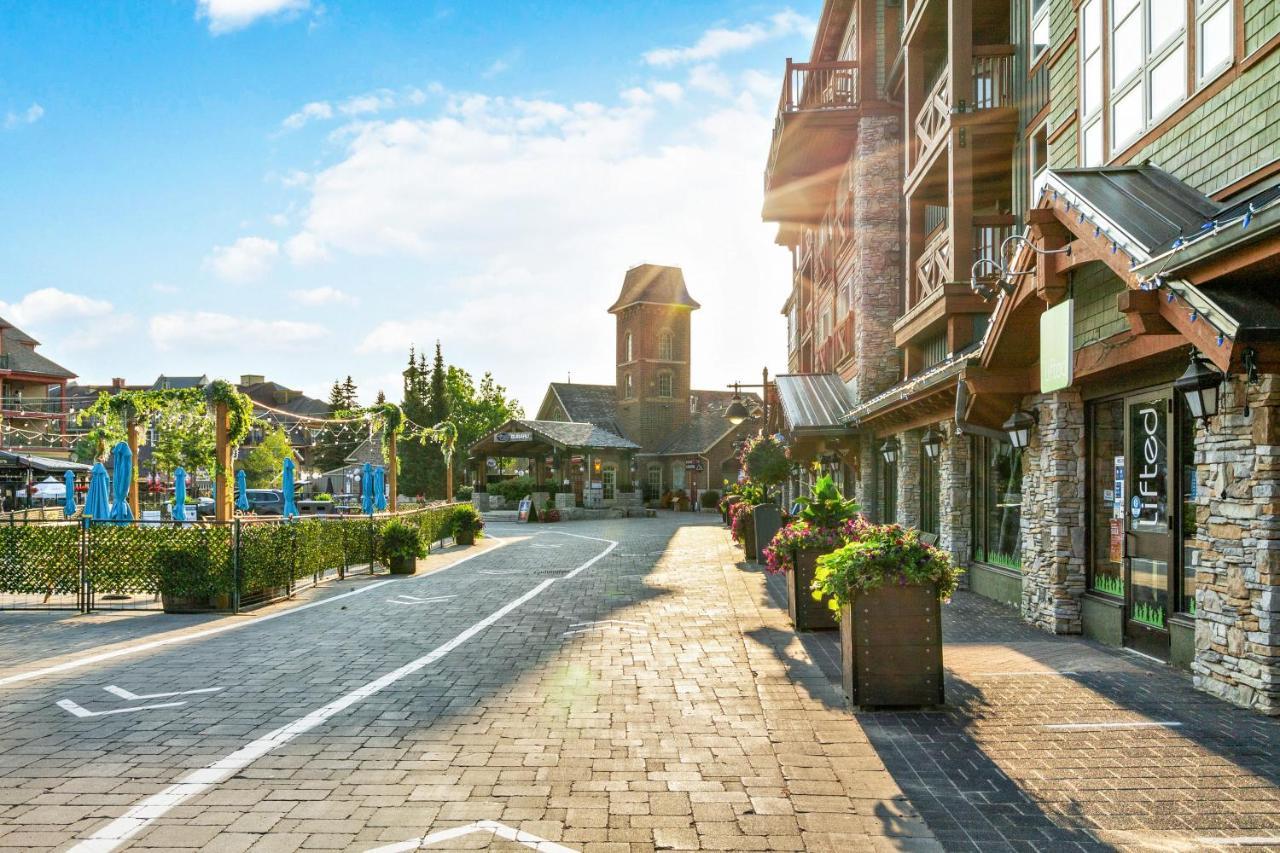 211 Chateau Ridge Блу Маунтинс Екстериор снимка