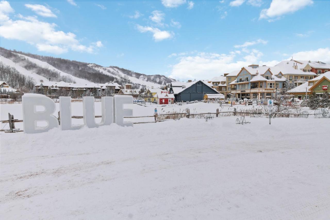 211 Chateau Ridge Блу Маунтинс Екстериор снимка